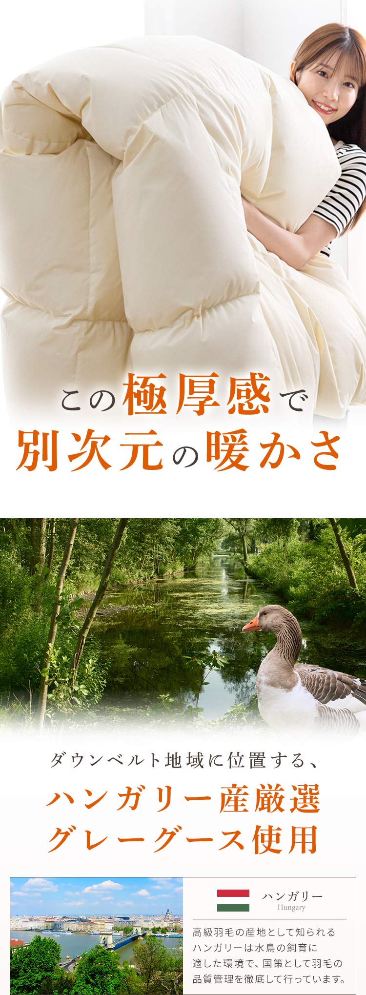 羽毛布団 ハンガリー産 GGD95% 440dp 1.6kg ダブル ベージュ 【直送】 【代引き不可】4