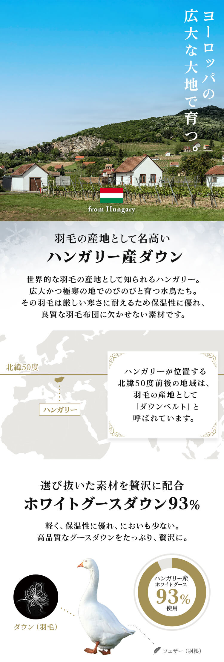 昭和西川 羽毛掛けふとん ハンガリーWGD93％ サテン1