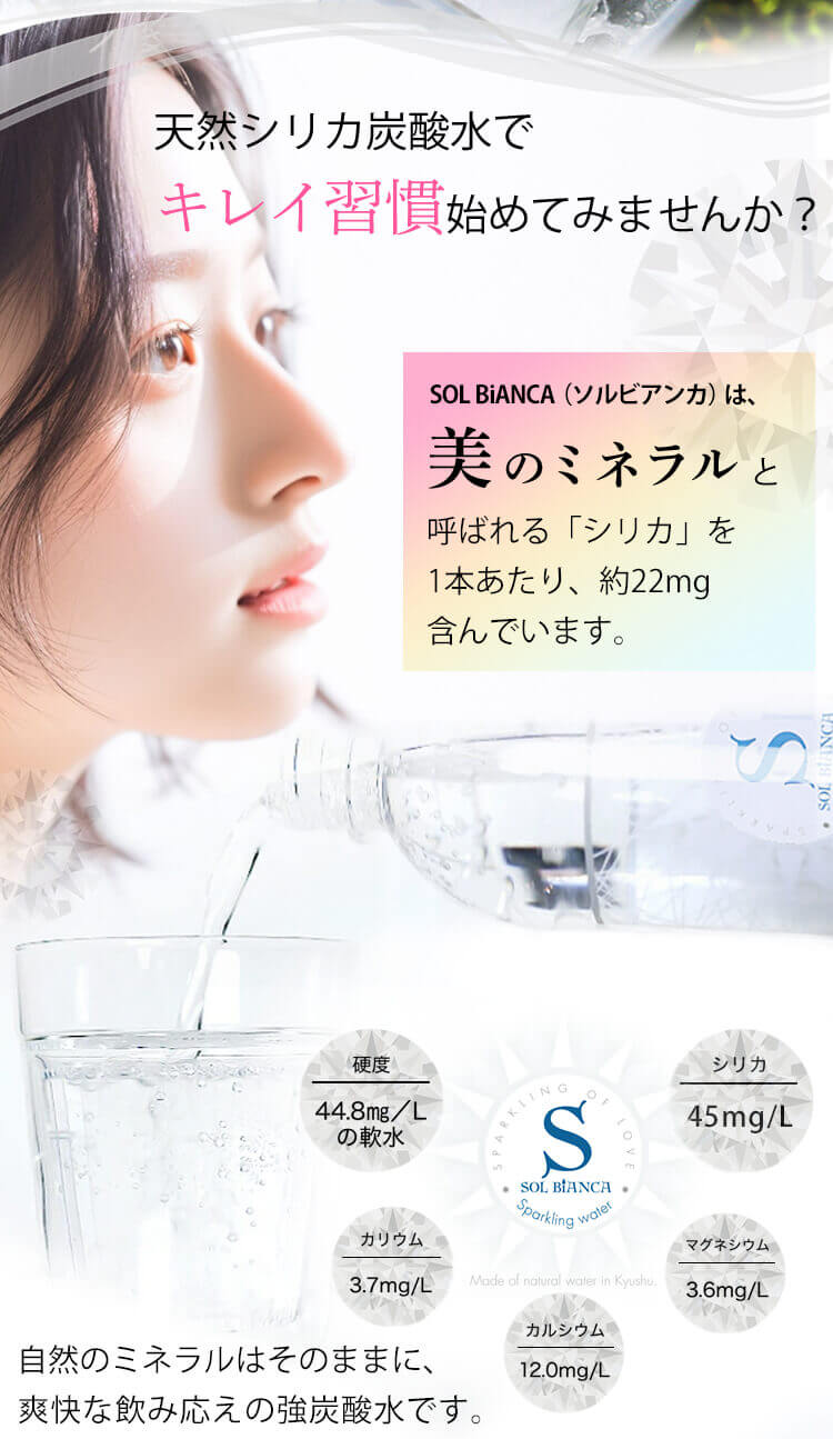 【48本】SOL シリカ 炭酸水 500ml ラベルレス プレーン【代引き不可】1
