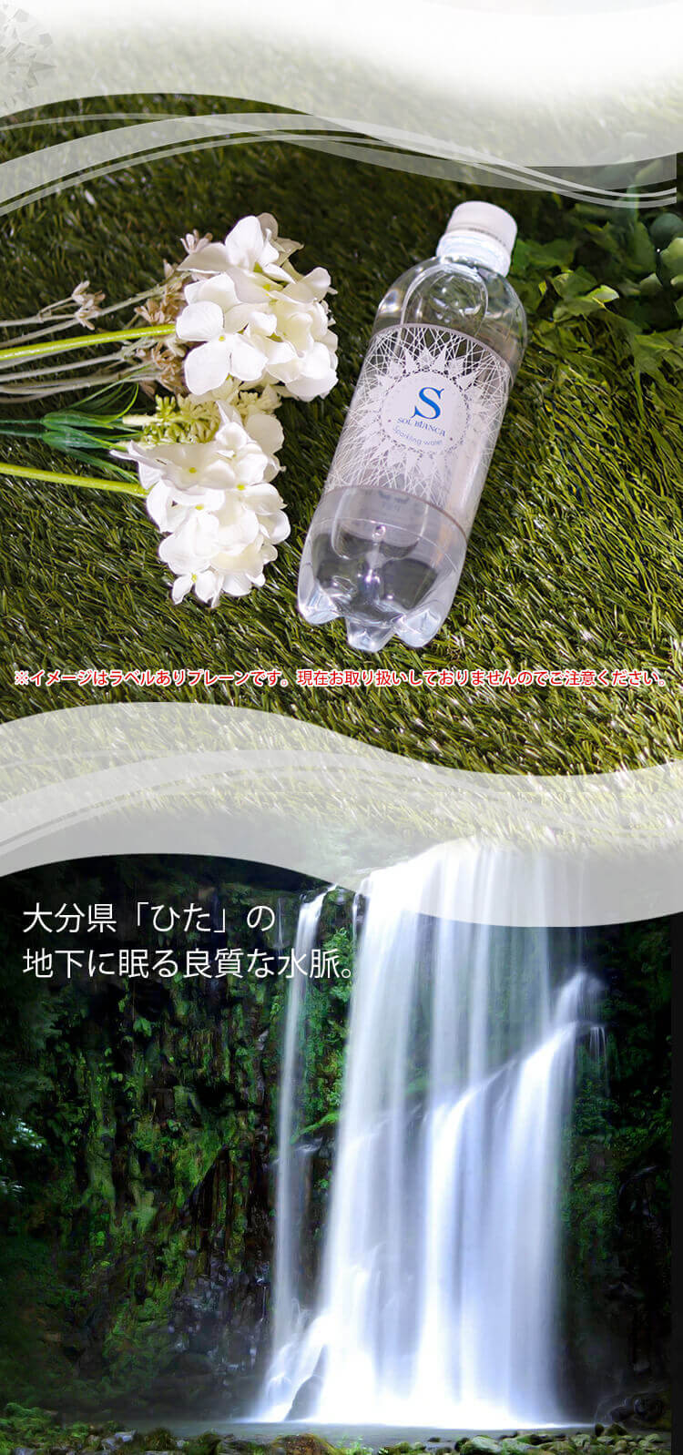 【48本】SOL シリカ 炭酸水 500ml ラベルレス プレーン【代引き不可】3