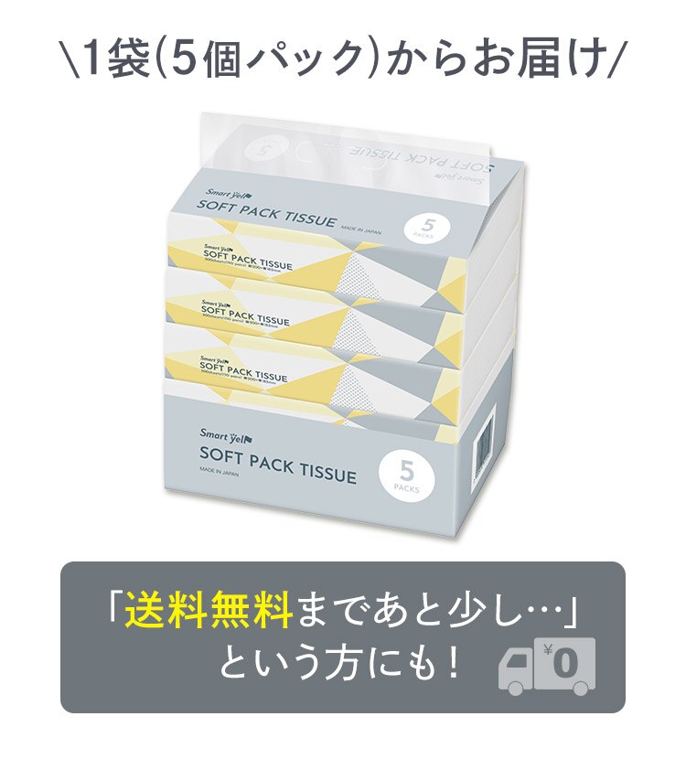 【25パック】 ティッシュ ソフトパック 300枚 (150組) 5パック&times;5 国産2