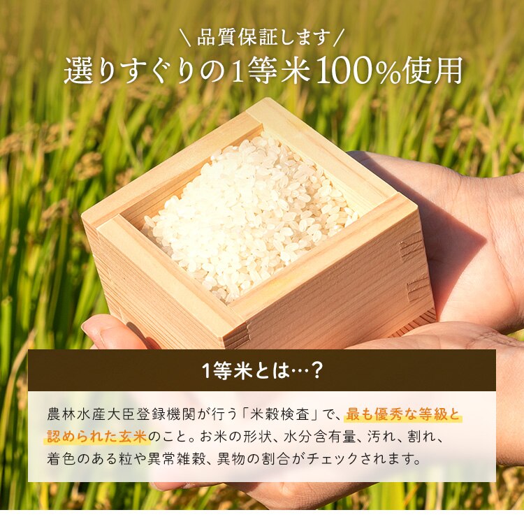 【10kg】 令和7年産 宮城県産 つや姫 5kg&times;2 【時間指定不可】【代引き不可】1