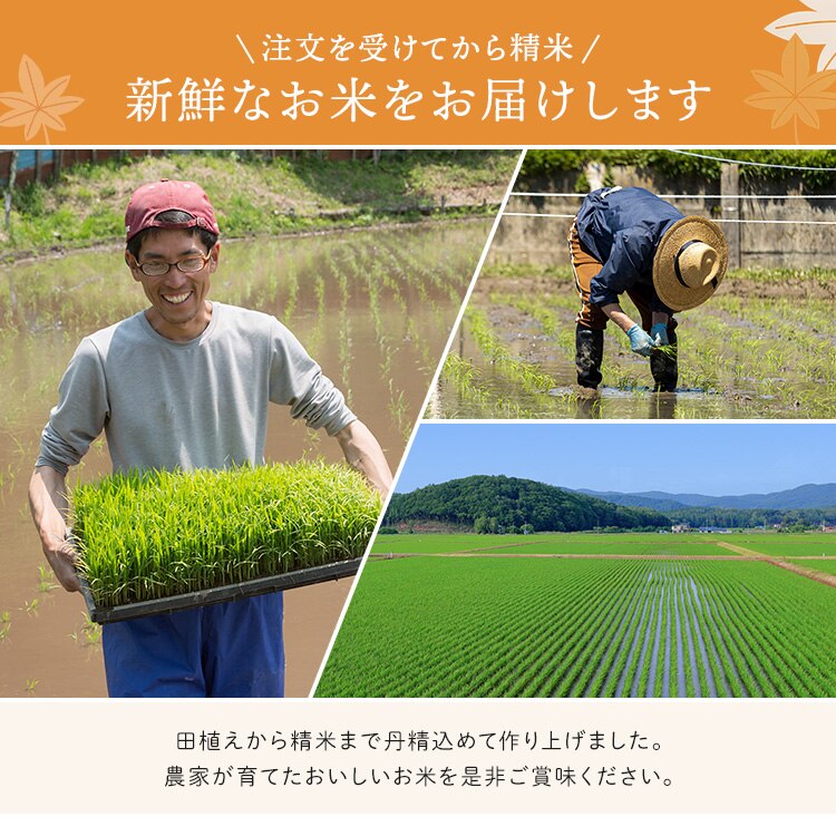 【10kg】 令和7年産 宮城県産 つや姫 5kg&times;2 【時間指定不可】【代引き不可】2