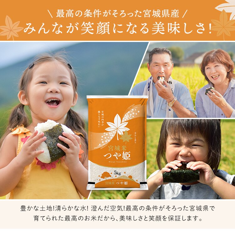 【10kg】 令和7年産 宮城県産 つや姫 5kg&times;2 【時間指定不可】【代引き不可】5