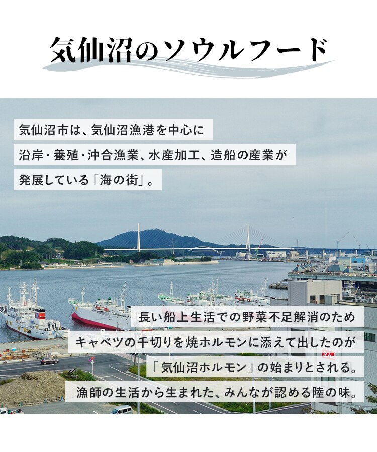 気仙沼ホルモン3種セット（みそ・しお・辛口） 【時間指定不可】【代引き不可】5