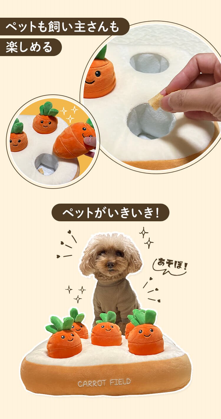 ノーズワーク わんパク！ おにく畑1