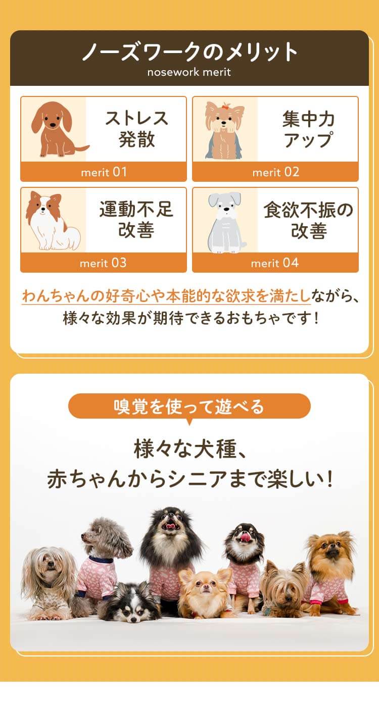 ノーズワーク わんパク！ おにく畑2