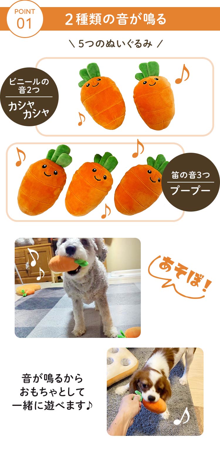 ノーズワーク わんパク！ おにく畑3