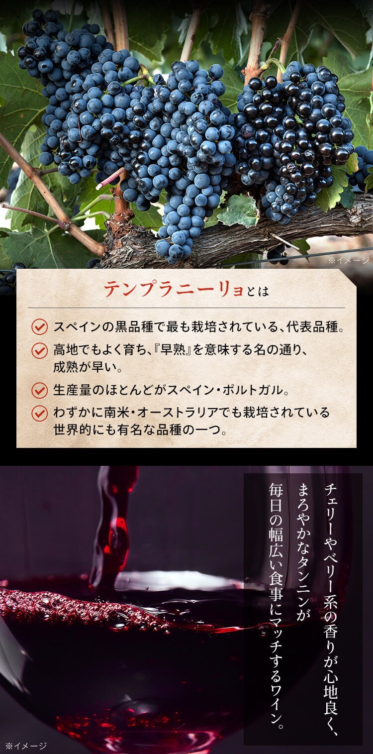 赤ワイン スペイン産 Brvilio 3000ml テンプラリーニョ1