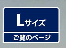  物置 スチール収納庫 鍵付き 防サビ塗装 Lサイズ 幅153cm 奥行79.3cm カーキ【前払い不可】【代引き不可】【同梱不可】3