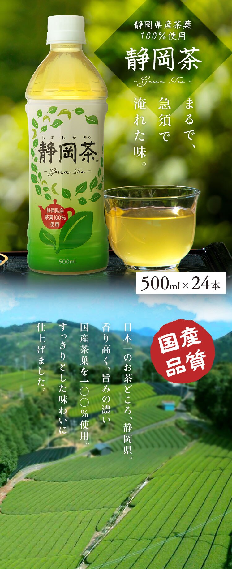 【48本】 ミツウロコビバレッジ 静岡茶 緑茶 500ml 【代引き不可】0