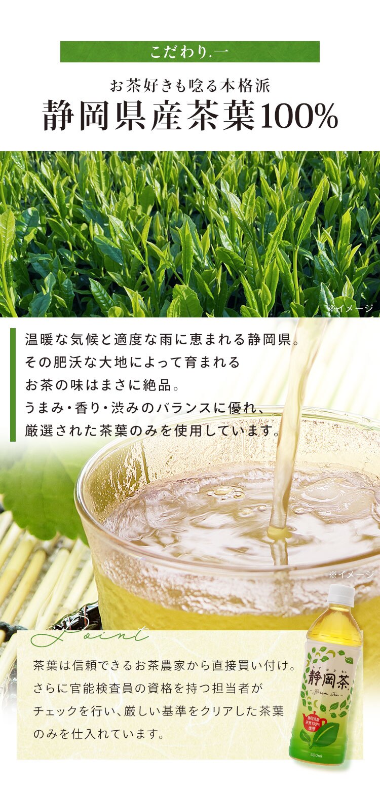 【48本】 ミツウロコビバレッジ 静岡茶 緑茶 500ml 【代引き不可】1