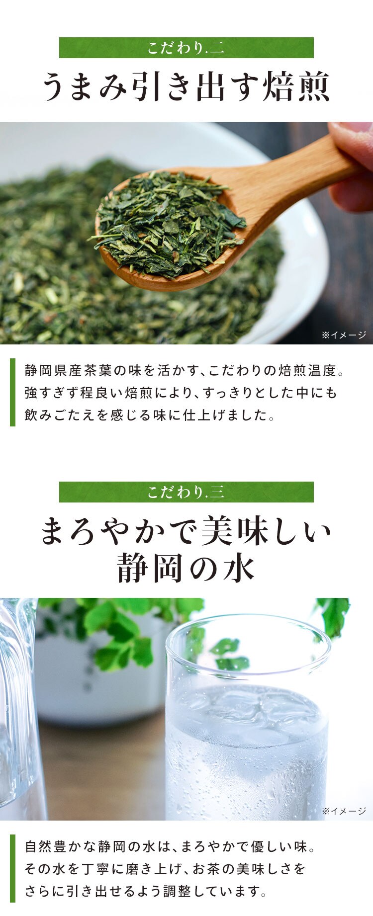 【48本】 ミツウロコビバレッジ 静岡茶 緑茶 500ml 【代引き不可】2