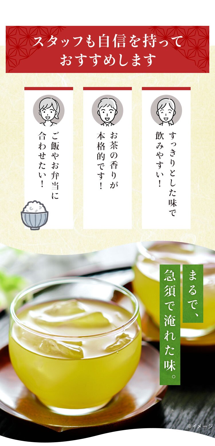 【48本】 ミツウロコビバレッジ 静岡茶 緑茶 500ml 【代引き不可】3