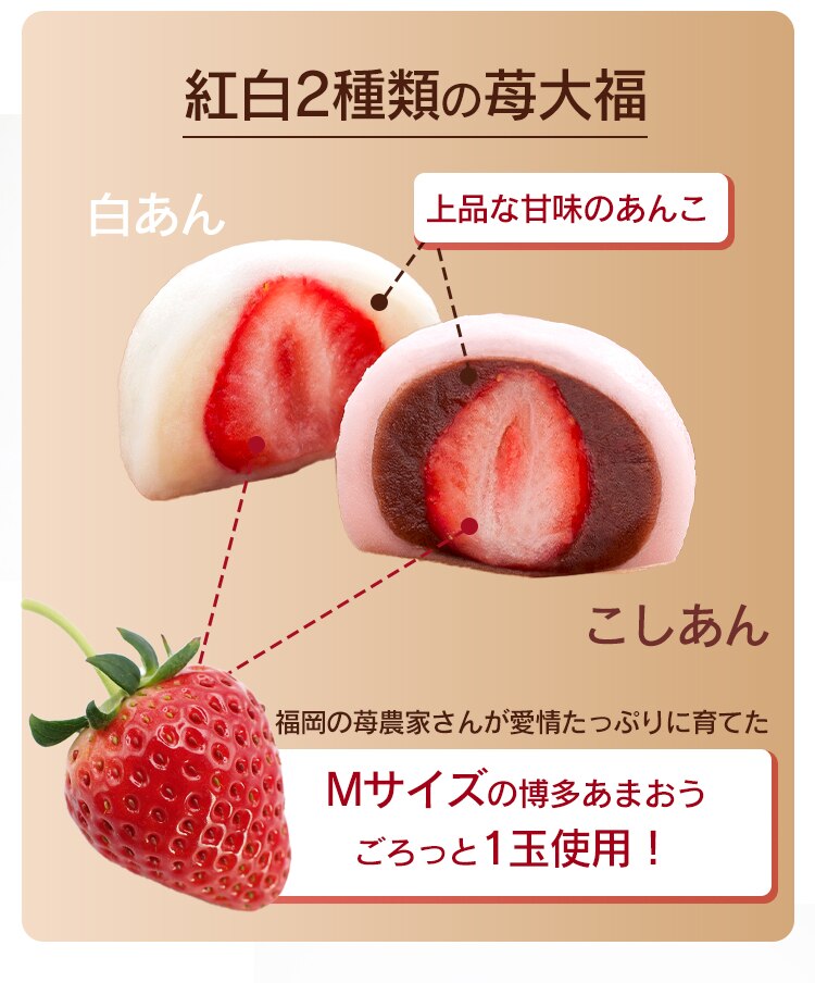 ごろっと苺大福 いちご大福 苺大福 8個【代引き不可】1