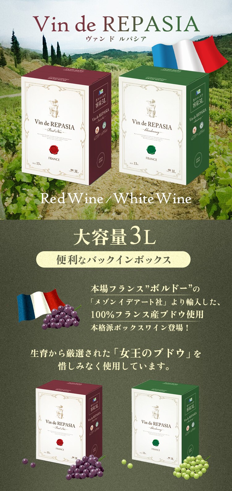 【訳あり】Vin de REPASIA Blanc フランス白ワイン 3000ml BIB 0