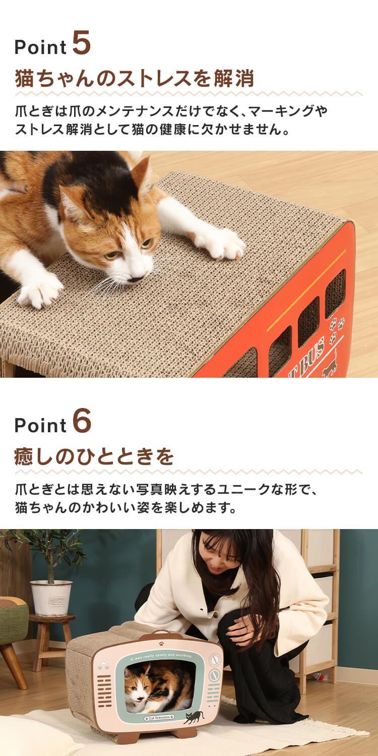 猫の爪とぎ 54224 缶詰3