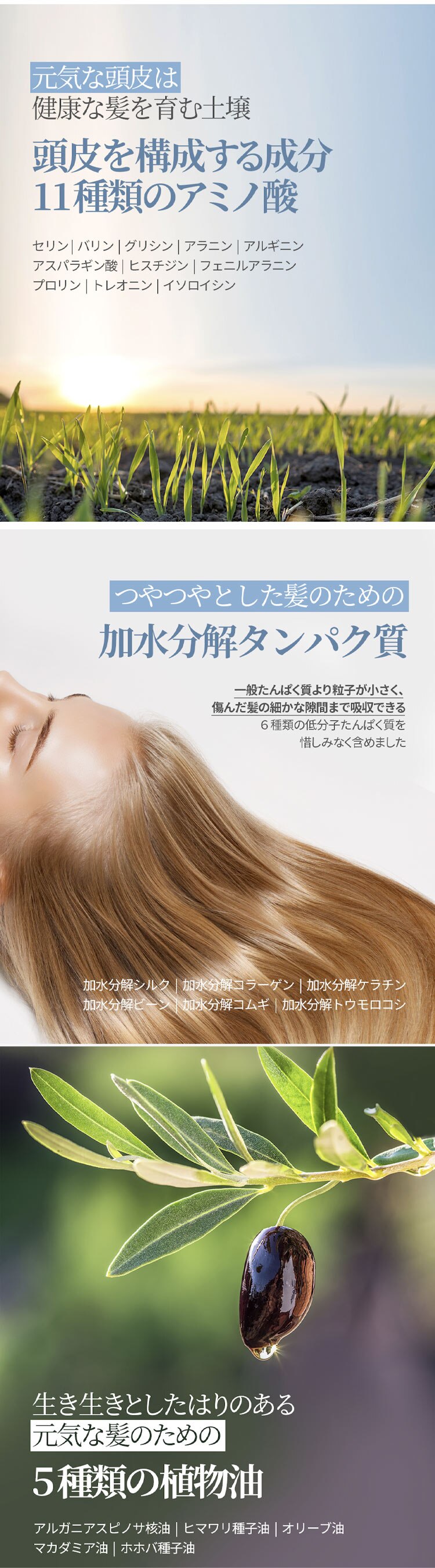 ★500円OFF★Bouquet Garni シャンプー+トリートメント+ボディシャワー ホワイトムスクの香り 各500ml 3