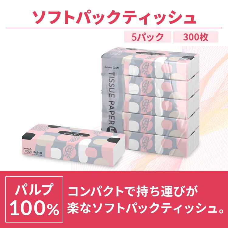 必需消耗品セット(トイレットペーパーダブル12ロール+ティッシュ10パック)  2