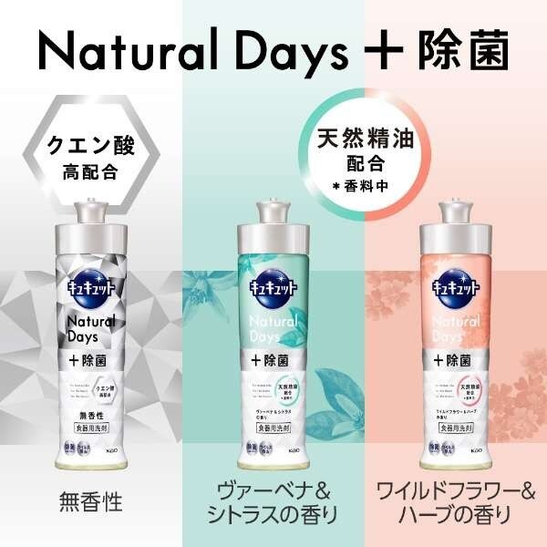 花王 キュキュット 詰替 1250ml 3