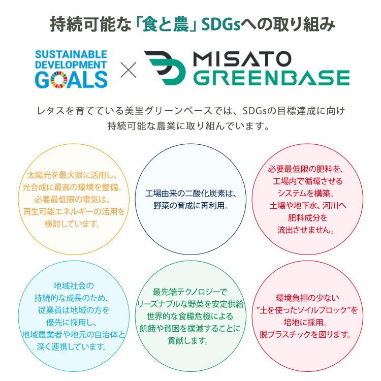 【50％OFFクーポン！】【6個】 つみたてサラダ（レタス） 【時間指定不可】3