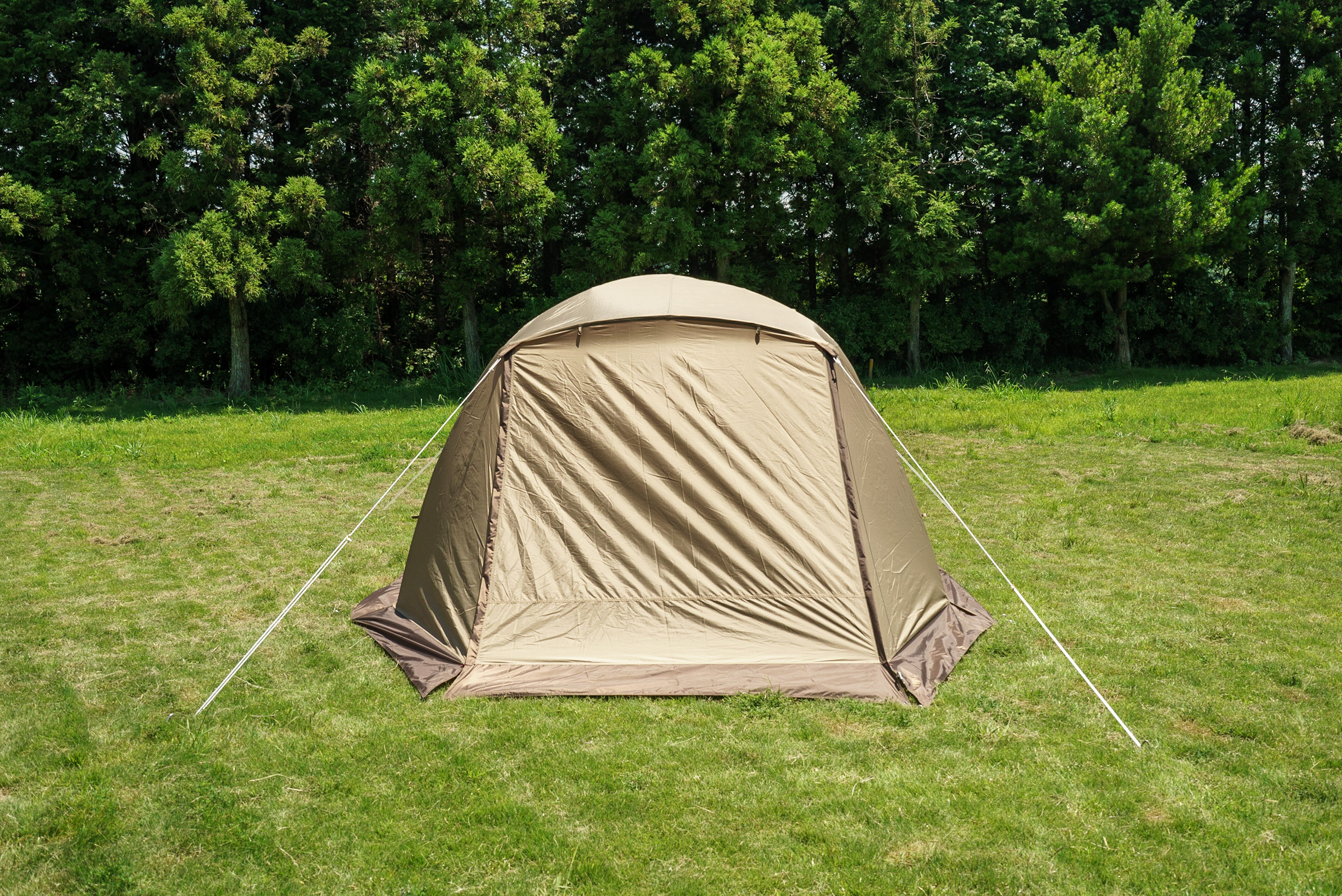 【ogawa】ピスタ5 2656-80 【代引き不可】1