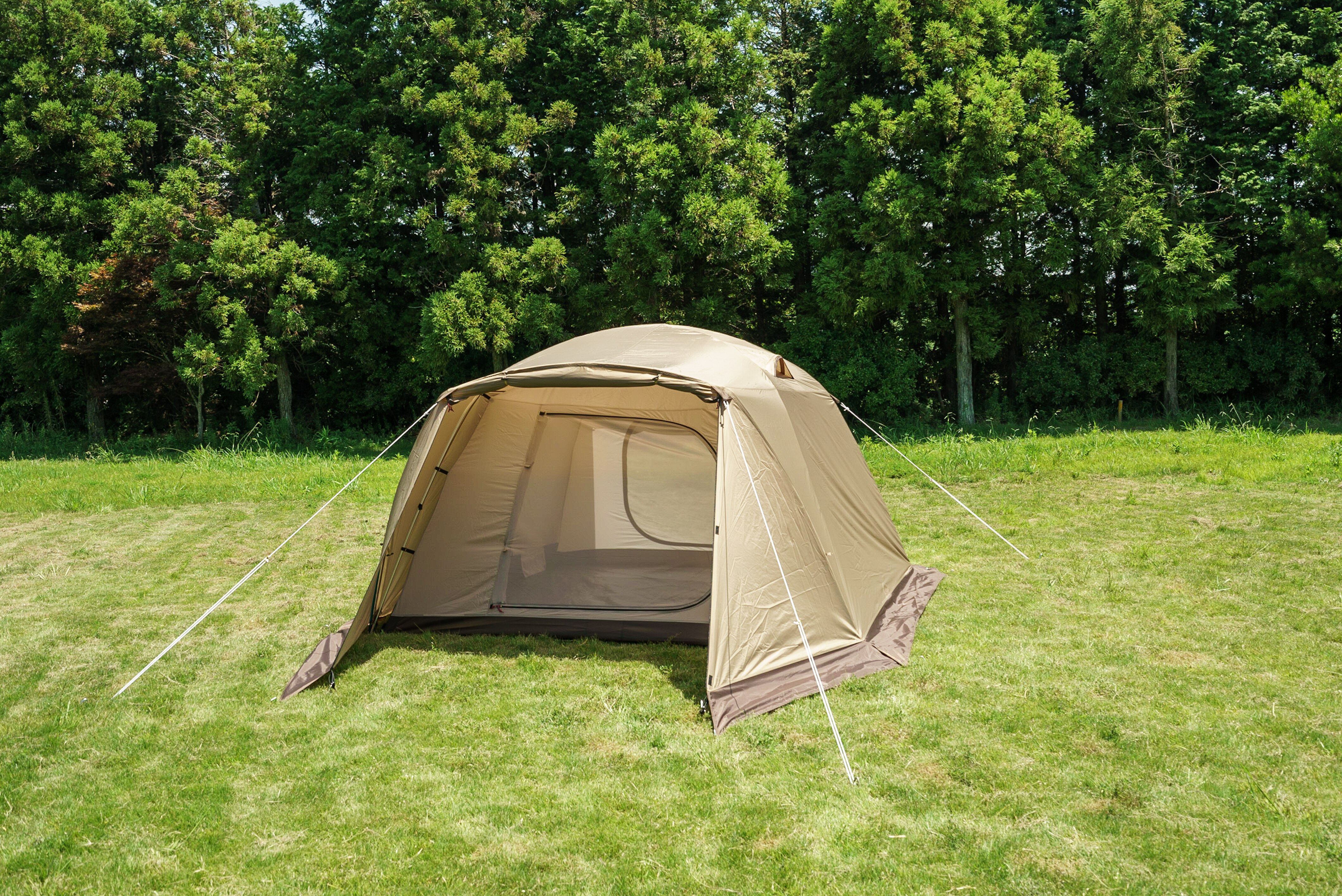 【ogawa】ピスタ5 2656-80 【代引き不可】5