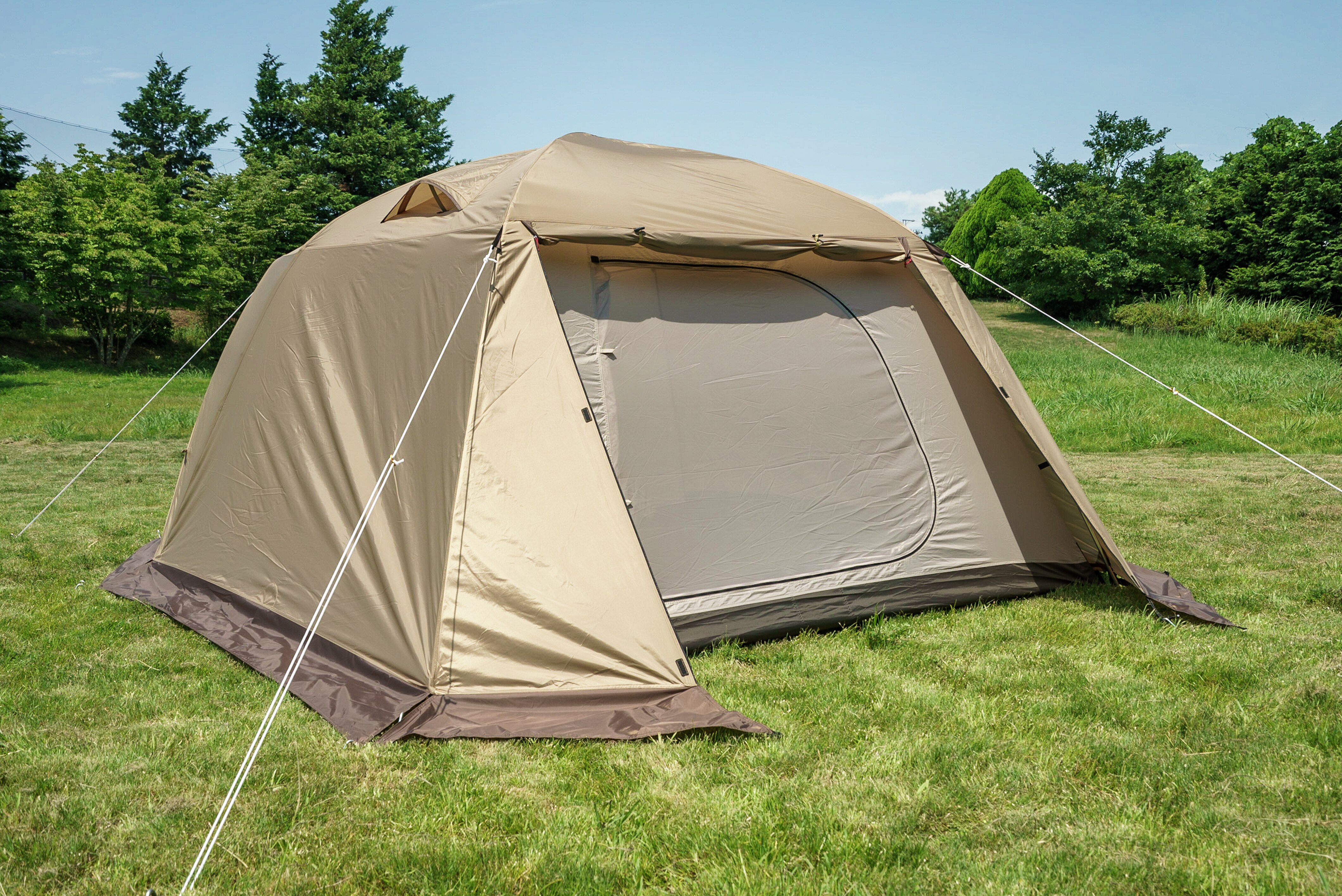 【ogawa】ピスタ5 2656-80 【代引き不可】9