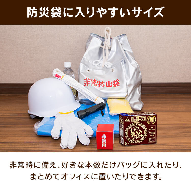 【1箱】チョコえいようかん 5年間保存可能 非常食 保存食 防災食 6