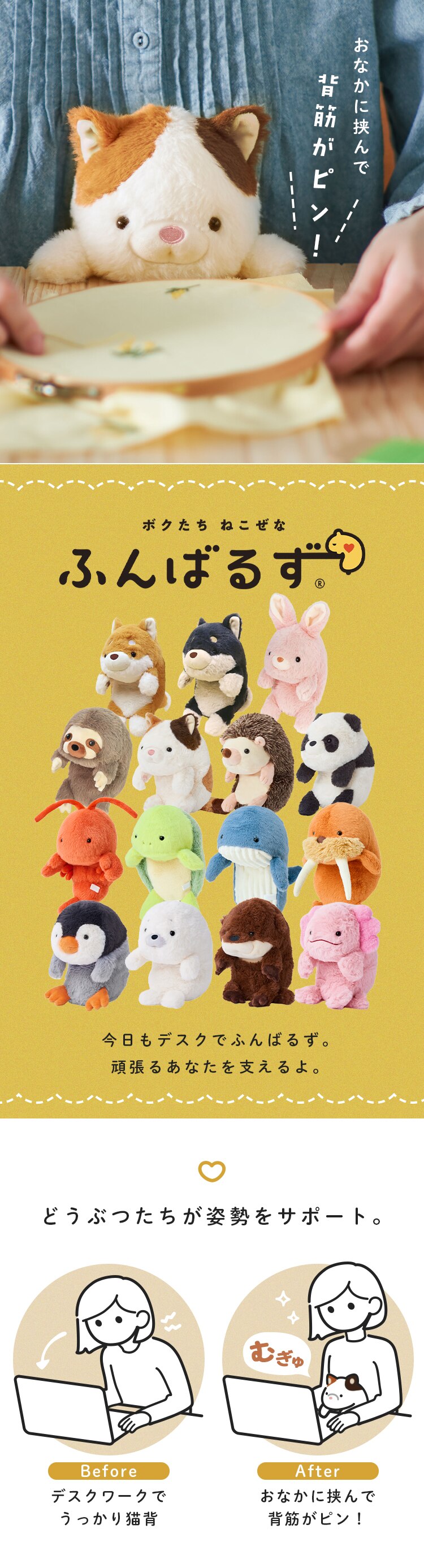 ドリームズ ふんばるずL VRT42876 クロシバ0