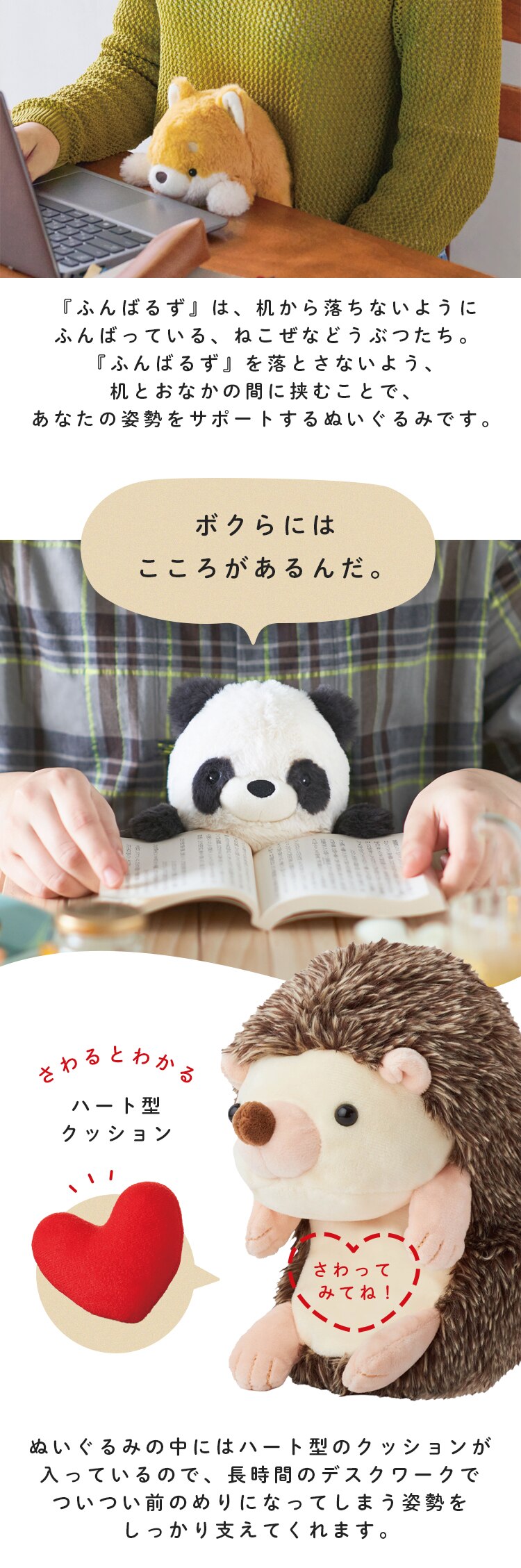 ドリームズ ふんばるずL VRT42876 クロシバ1