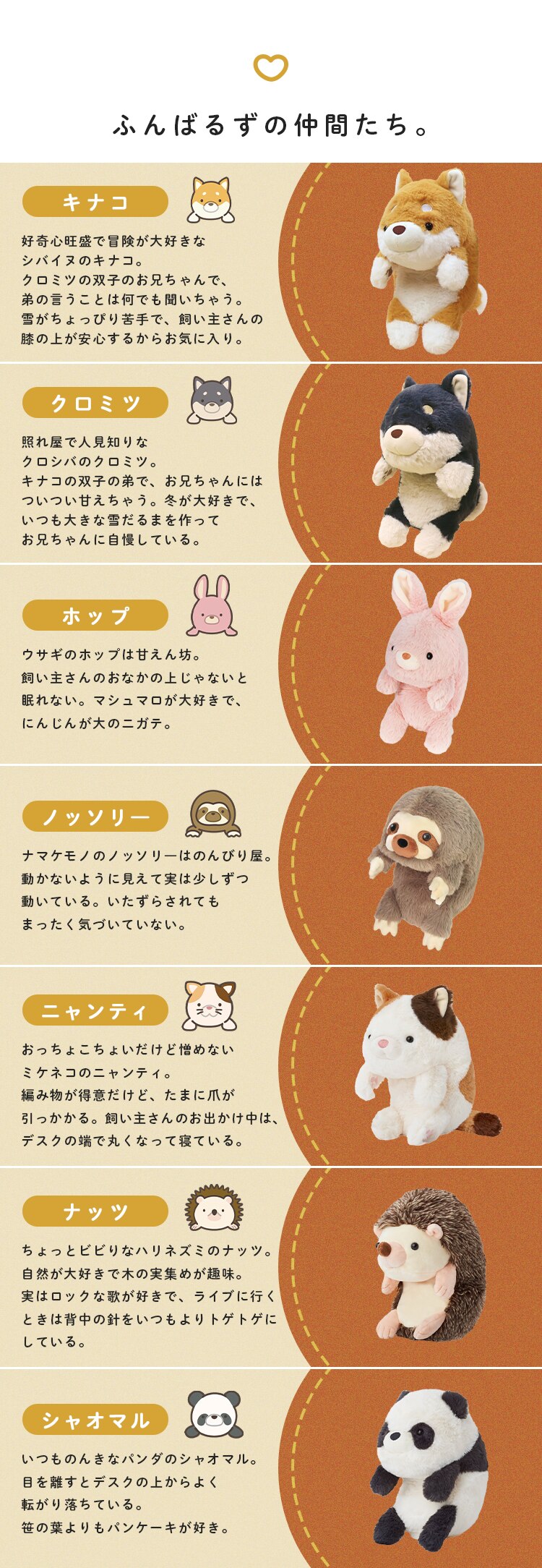 ドリームズ ふんばるずL VRT42876 クロシバ3