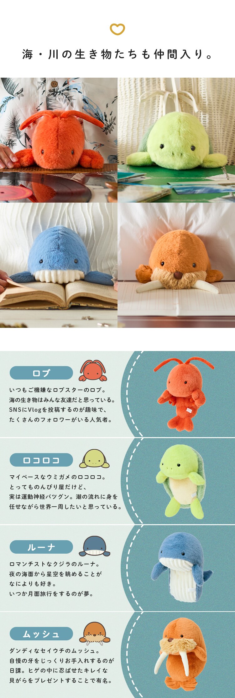 ドリームズ ふんばるずL VRT42876 クロシバ4