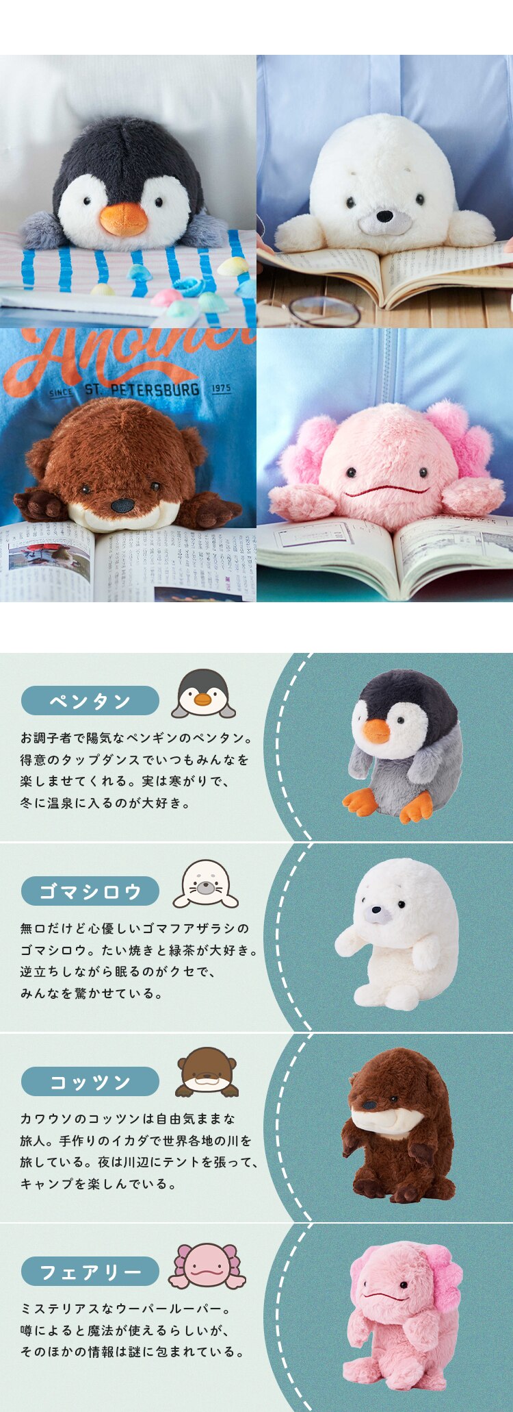 ドリームズ ふんばるずL VRT42876 クロシバ5