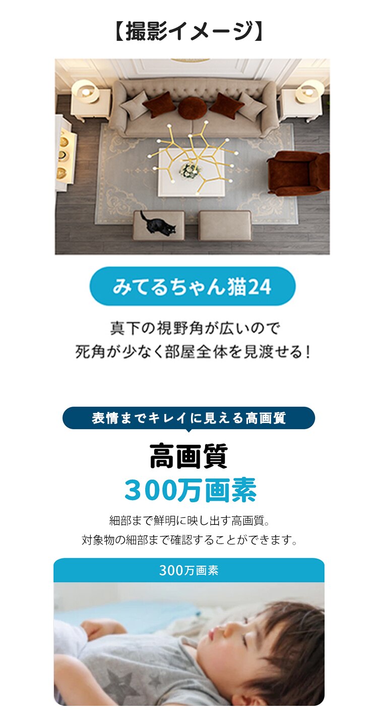 塚本無線 ペットカメラ みてるちゃん猫 24 WTW-NEKO245S 1