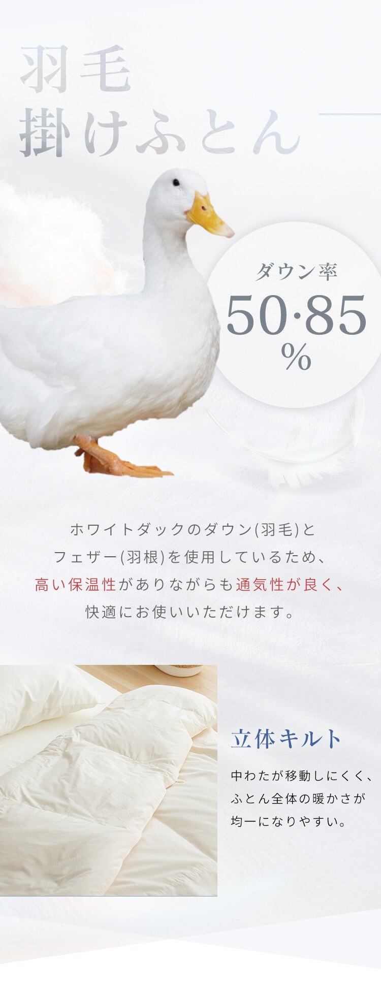 羽毛50％3点セット アイボリー・ホワイト 【代引き不可】1