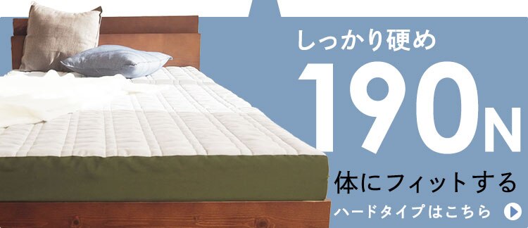 Achilles フロートウェーブ スーパーハードタイプS ブラウン【時間指定不可】【代引き不可】2