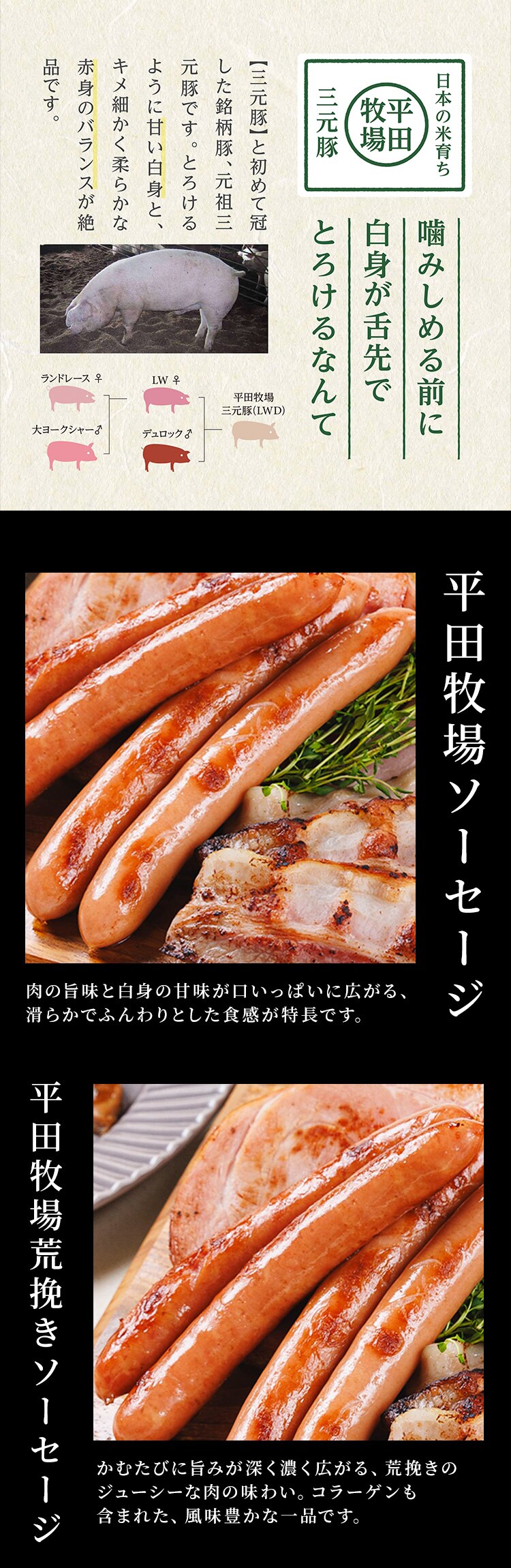 【15％OFFクーポン！】【平田牧場】平田牧場特製ハムソーセージ詰合せセット CHK23-11