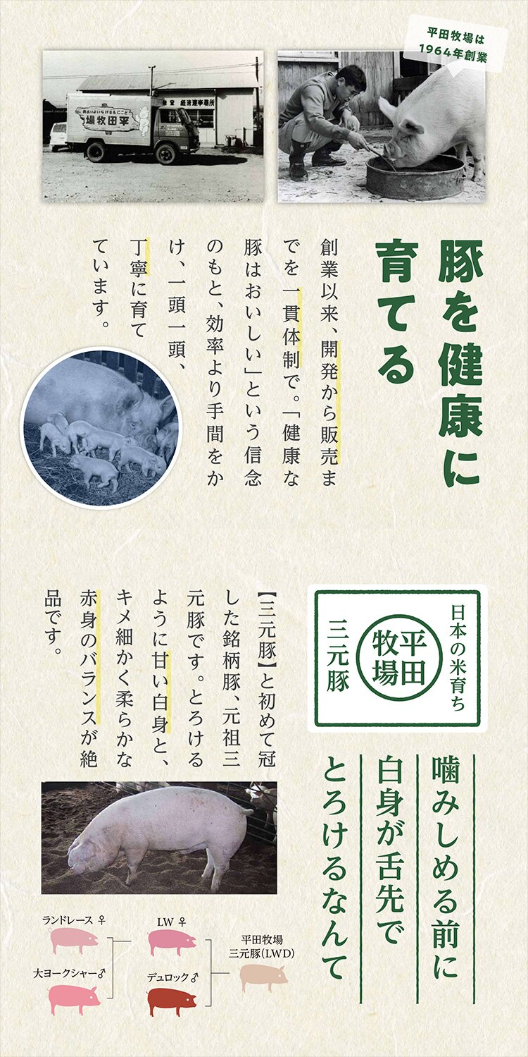 【5％OFFクーポン！】【平田牧場】日本の米育ち三元豚 ハンバーグ&ロールステーキギフト 各4個入 だし2袋入 HSF19-81