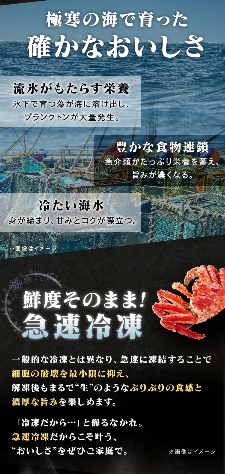 【20％OFFクーポン！】旨蟹合戦 (ずわいがに･たらばがに) ハーフポーション【代引き不可】2