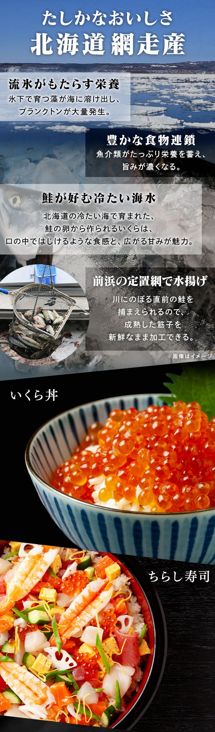 【20％OFFクーポン！】鮭いくら醤油漬 300g【代引き不可】1