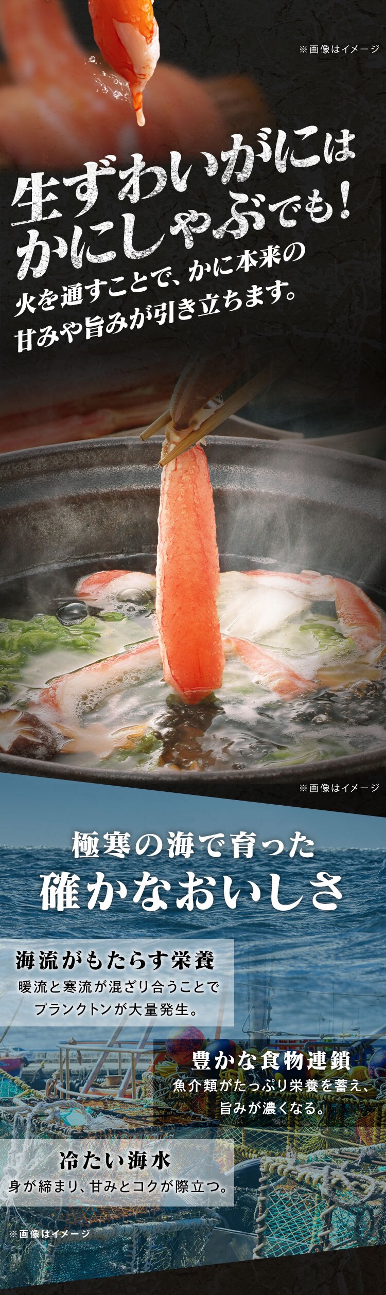 【10％OFFクーポン！】ボイルずわい･生ずわい食べ比べセット お刺身OK1