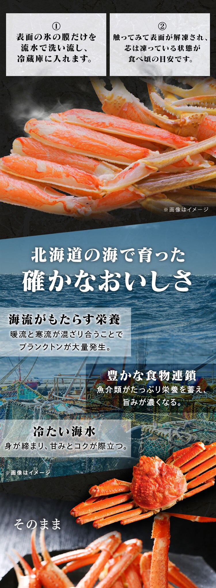 【30％OFFクーポン！】北海道産 ボイルおおずわいがに姿 3kg (6〜8尾)1