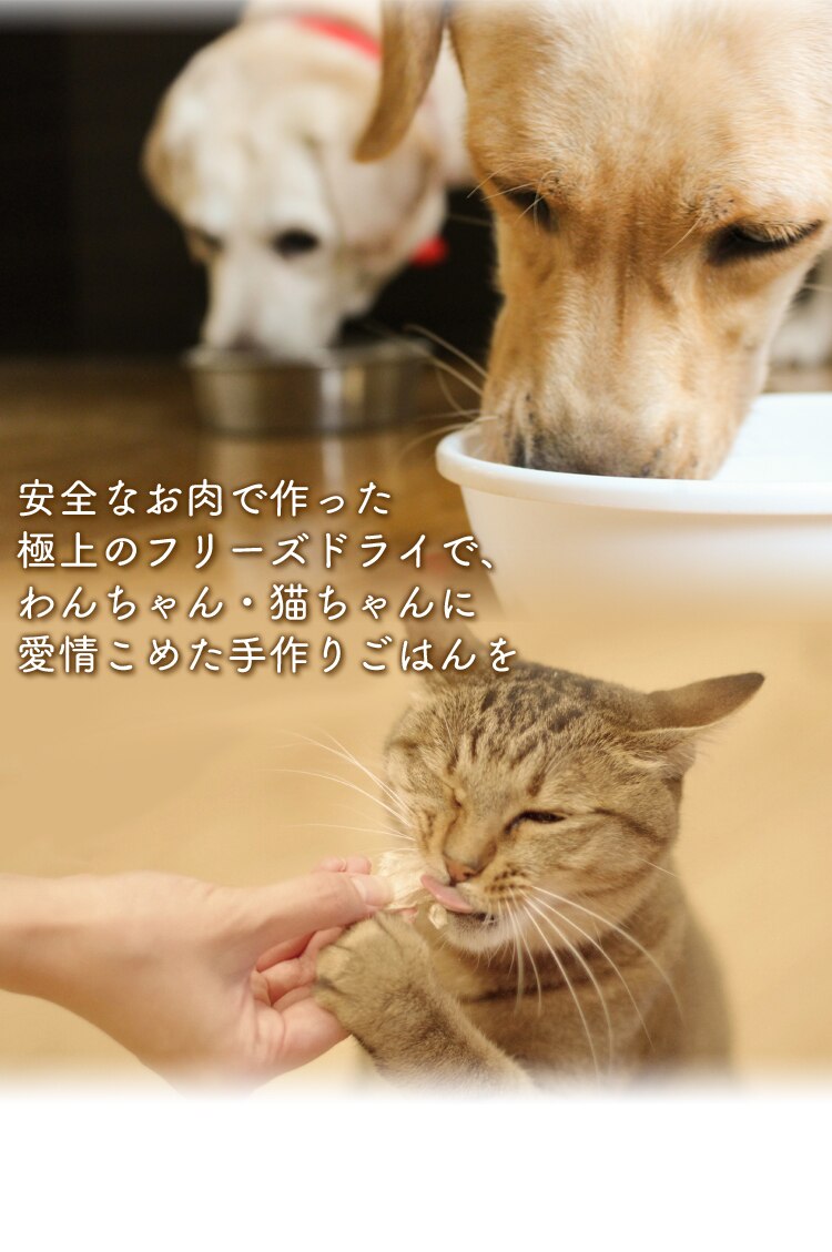 安全なお肉で作った極上のフリーズドライ