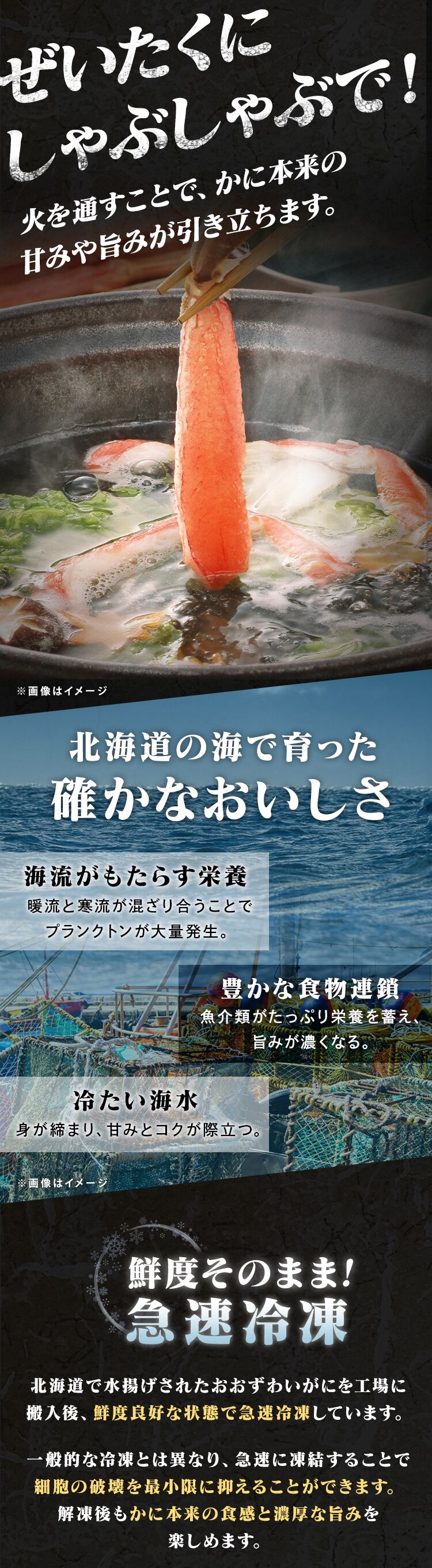【15％OFFクーポン！】北海道産おおずわいがにポーション 500g【前払い不可】【代引き不可】【同梱不可】1