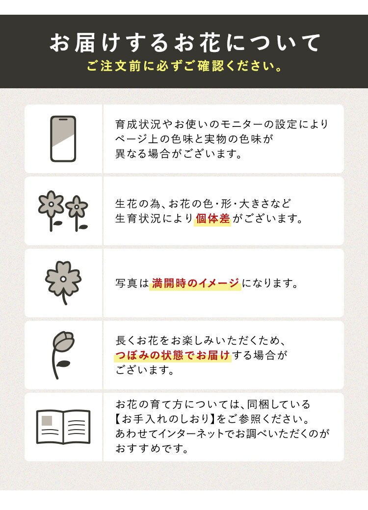 母の日 2026 花 ギフト 生花 カーネーション 鉢植え 選べる花鉢 マーガレット アジサイ 紫陽花 5号鉢 【お届けは5/6(水)〜5/9(土)】【日時指定不可】【代引き不可】6