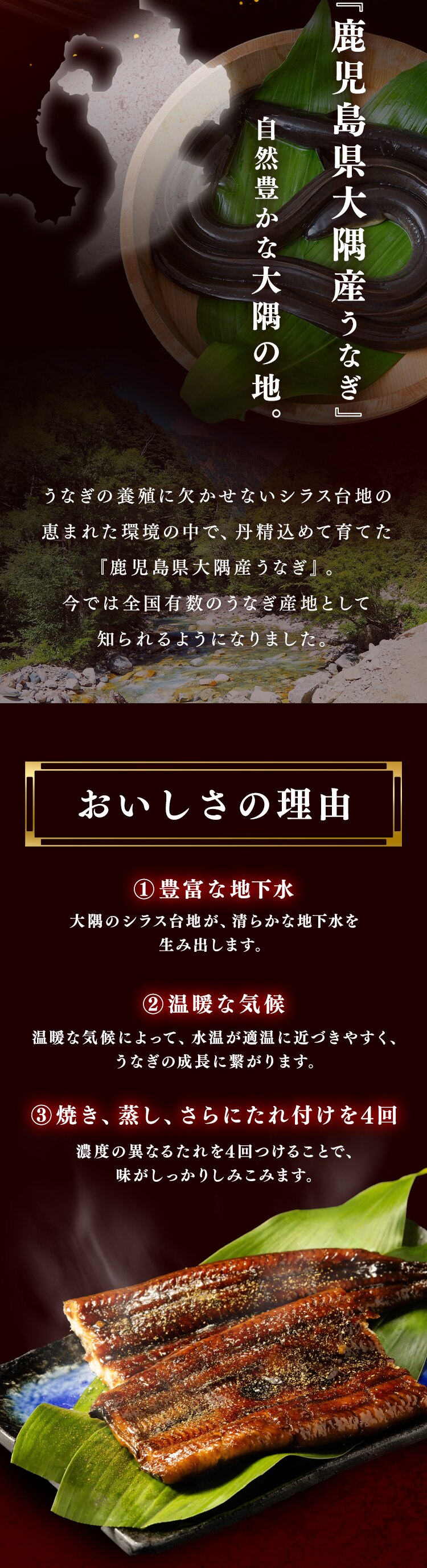 鰻 ギフト 蒲焼 2尾 160g 3尾 4尾 150g タレ付き うなぎ かば焼き 冷凍 母の日 ウナギ unagi プレゼント 【お届けは5/6(水)〜5/9(土)】【日時指定不可】【代引き不可】2