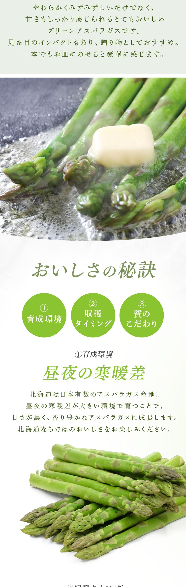 【15％OFFクーポン！】北海道産グリーンアスパラガス500g 【時間指定不可】【代引不可】【同梱不可】1