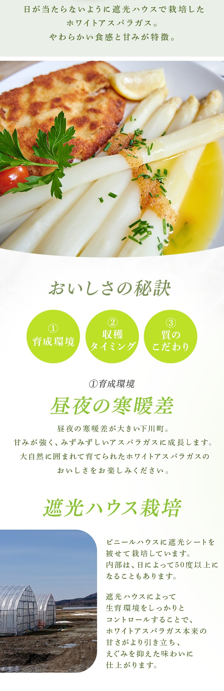 【15％OFFクーポン！】下川産ホワイトアスパラガス1kg （500ｇ&times;2） 【時間指定不可】【代引不可】【同梱不可】1