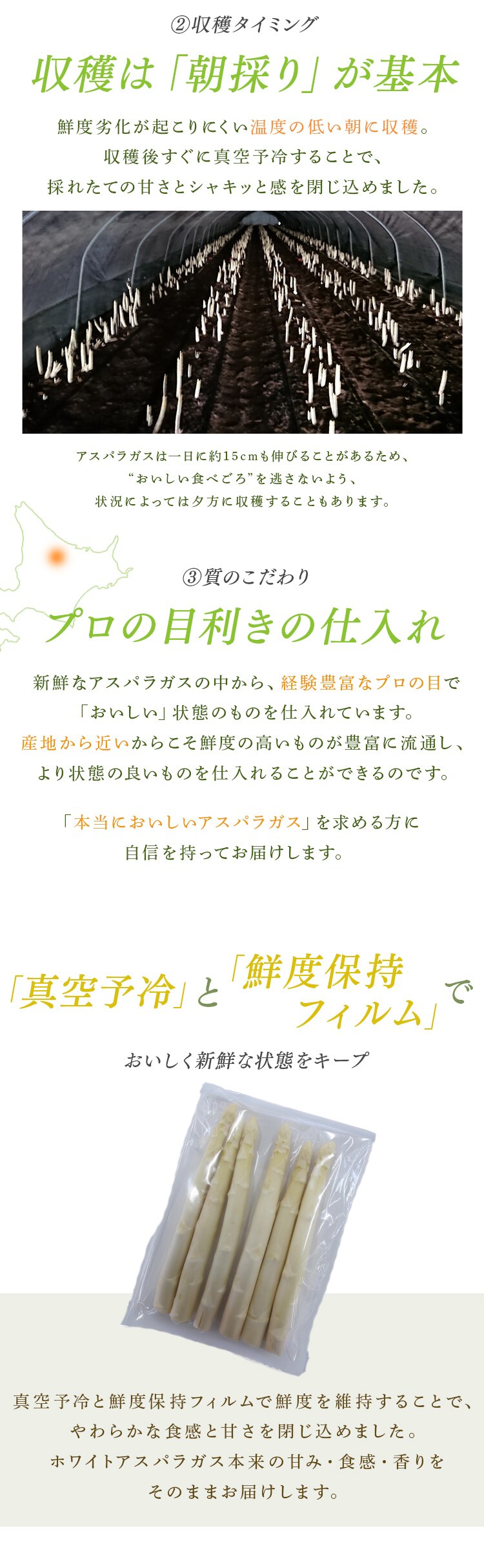 【15％OFFクーポン！】下川産ホワイトアスパラガス1kg （500ｇ&times;2） 【時間指定不可】【代引不可】【同梱不可】2